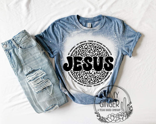 Jesus Leopard Circle