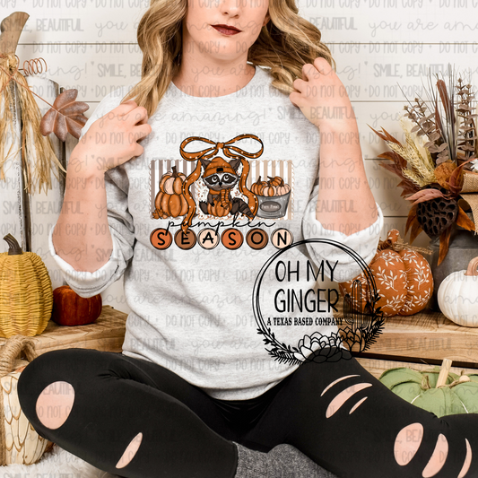 Pumpkin Season Racoon